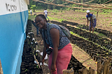 Transforming Sierra Leone’s Landscape: A Community Tree Planting Event Powered by Mobile App…
