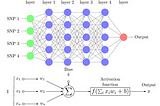 AN INTRODUCTION TO NEURAL NETWORKS AND CONVOLUTIONAL NEURAL NETWORKS