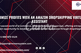 Amazon Dropshipping Virtual Assistant