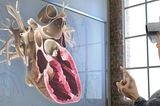 3 Ways Virtual and Augmented Reality are Changing the Way We Heal