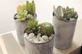 Marble Succulent Pot DIY