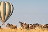 Discover Kenya’s Maasai Mara at Sunrise: Hot Air Balloon Journey