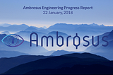 Ambrosus Engineering Progress Report — 22 January, 2018