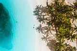 BILIBLOND Shopify PLUS store: BILIBLOND’s vision is to make women feel beautiful and comfortable