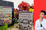 Top 5 Tips for Creating Your Medicinal Garden Kit