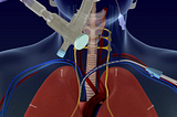 Everything You Need To Know About Lung Function