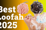 Best Loofahs | Top 5 Loofahs for men and women 2025