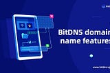 BitDNS domain name features