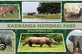 जानिए काजीरंगा राष्ट्रीय उद्यान के बारे में।
