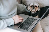 Adorable dog sitting next to an anonymous woman with her hand on the trackpad of a laptop.