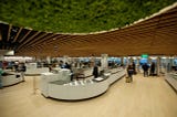 The security screening area at Schiphol airport in Amsterdam, Netherlands. It is well lit, uses wood paneling on the ceiling and live plants.