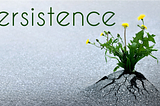25. Persistence: The Intersection of Optimism & Grit