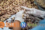 The First SHANTI Project, NutsPay