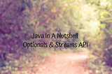 Java In A Nutshell — Optionals & Streams API