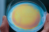 Why We Invested: Radient Matter