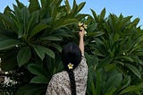 Anonymous accounts of bitter endings