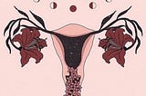 Quando fiz as pazes com meu ciclo menstrual…