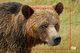 Facial Recognitions and Bears (Part 2/3 of Robotics and AI Mini-series)