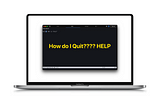 author not being able to quit neovim