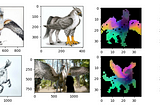 DinoV2-Image Classification, Visualization, and Paper Review