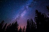 Dark forest at night with galaxy of stars above