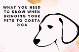 Shipping a Pallet to Costa Rica