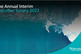 Reflections on the Watermark Interim Executive survey 2023