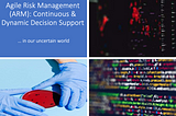 Agile Risk Management (ARM): Continuous & Dynamic Decision Support