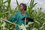 ICT Adoption can increase Crop Productivity among Young Farmers in Tanzania