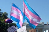 Transgender Protest — White House. PBS. Published April 29,2018. Retrieved, April 18, 2023. https://www.pbs.org/newshour/politics/health-care-new-front-for-transgender-rights-under-trump