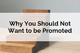 Why You Should Not Want to be Promoted