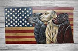 What Might a Second Trump Term Bring for Animals?