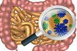 Gut Health Basics