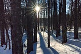 Waking Up in the Dark Forest