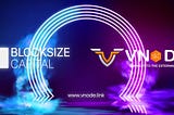 Blocksize Capital is now live Node Operator on the Vnode platform.