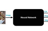 How to explore Neural networks, the black box ?