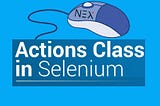 Selenium Mouse Kullanma İşlemleri
