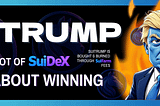 💥 While Others Print, SuiTrump Burns — The Meme Coin Changing the Game