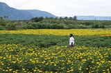 Ordeals of Indian Farmers