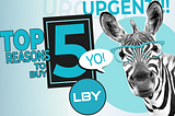 5 reasons to buy LBY (URGENT! MARKET IS CRASHING)