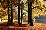 Nationale Park De Hoge Veluwe