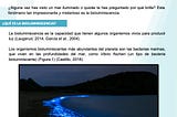 Bioluminiscencia: El misterio brillante del mar
