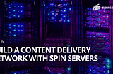 Affordable Content Delivery Network Servers