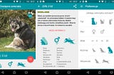 The application which is much more than just “Tinder for dogs”