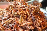 The Underground World of Eating Bugs