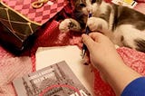 [Racconto] Atroce