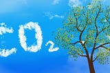 Trees and Carbon Dioxide: What Is the True Connection?
