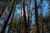 Enabling Ecological Resilience in Malawi