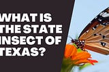 What Is The State Insect of Texas?