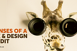 Title: Lenses of a ux & design audit. Image: a giraffe’s face with two camera lenses covering its eyes.